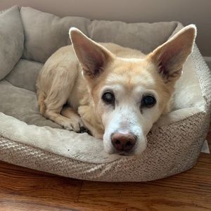 Meet your Posher, Katy